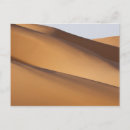 Recherche de désert du sahara cartes postales Tourisme