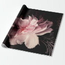 Search for petals wrapping paper Illustration