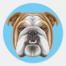 Search for english bulldog stickers Canine