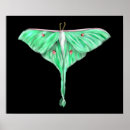 Recherche de bioluminescent art Brillant