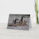 Search for canadian birthday cards Bird
