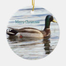 Search for mallard duck ornaments Animals