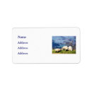 Search for farm animals return address labels Sheep