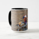 Search for mandarin ducks mugs Waterfowl