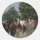 Search for mustang stickers Horse
