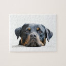 Recherche de race de chien puzzles Rottweiler
