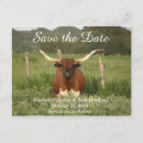 Search for texas save the dates Rustic
