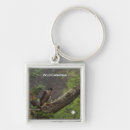 Search for peregrine falcon keychains Wildlife