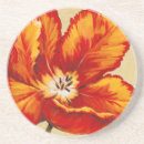 Recherche de perroquet dessous de verres Botanique