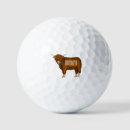 Search for milk golf balls Cattle