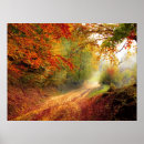 Recherche de forest land posters Landscape