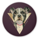 Search for eye knobs and pulls Animal