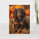 Search for dachshund thanksgiving cards Pet