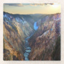 Search for artistic coasters Photography