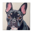 Recherche de bouledogue carreaux Chien