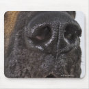 Recherche de museau tapis souris Animaux domestiques