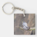 Search for falcons keychains Animal