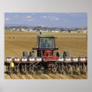 Search for agriculture art Square