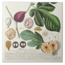Search for engravings tiles School