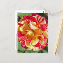 Recherche de var cartes postales Vacances