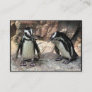 Recherche de pingouins cartes visite Oiseaux