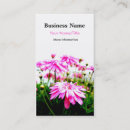 Recherche de marguerite rose de gerbera cartes visite Fleurs