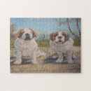 Search for st bernard puzzles Pets