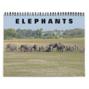 Search for big five photography Wildlife