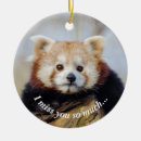 Search for red panda ornaments Bear