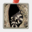 Search for hole in the ornaments Tree
