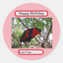 Search for lorikeet stickers Wildlife