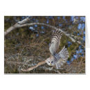 Recherche de gilles cartes postales Canada