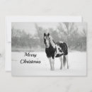 Search for paint horse christmas cards Pinto