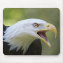 Search for bald eagle mousepads Wildlife