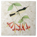 Search for hummingbird tiles Tropical
