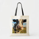 Search for holstein bags Livestock