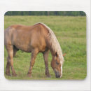 Search for new brunswick mousepads Ie