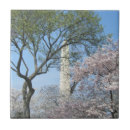 Recherche de blossom carreaux Printemps