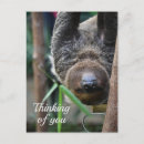 Search for hanging postcards Animal