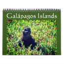 Search for tortoise calendars 2025