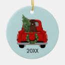 Recherche de labrador christmas decor Chien de noël