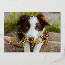 Search for funny dog new years cards 2027