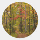Search for somerset stickers Landscape