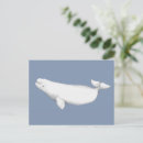 Recherche de beluga cartes postales Baleine