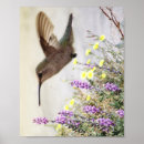 Search for hummingbird art Blue