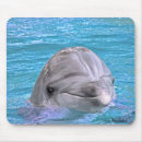 Search for bottlenose mousepads Dolphin