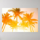 Search for green palm leaf posters Background