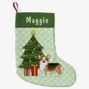 Recherche de corgi pembroke de chaussette de noël Vacances