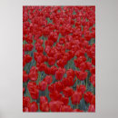 Search for flowerbed posters Nature