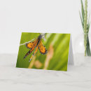 Search for monarch butterfly cards Butterflies